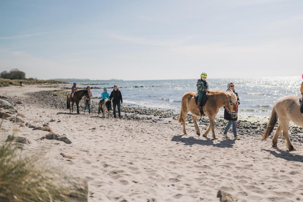 Buedlfarm - Der Familien-Erlebnishof In Strandnaehe Фемарн Экстерьер фото